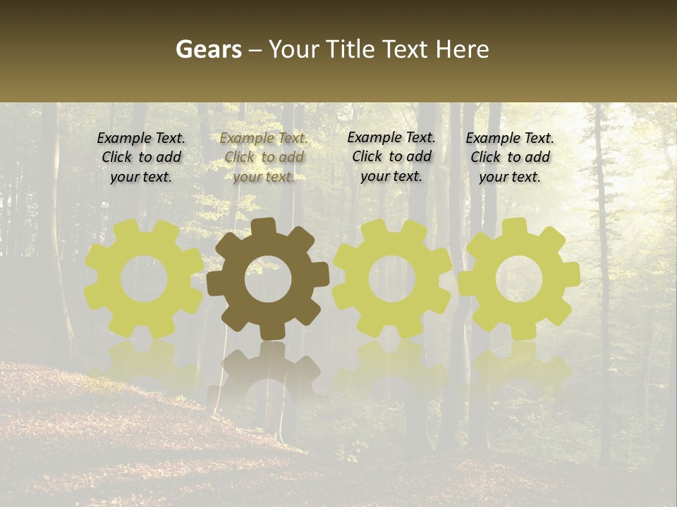 A Forest Filled With Lots Of Trees And Leaves PowerPoint Template