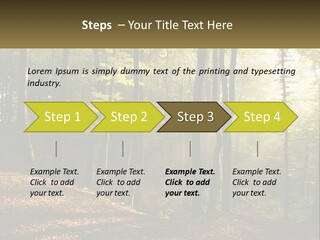 A Forest Filled With Lots Of Trees And Leaves PowerPoint Template