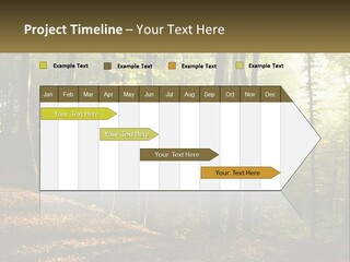 A Forest Filled With Lots Of Trees And Leaves PowerPoint Template