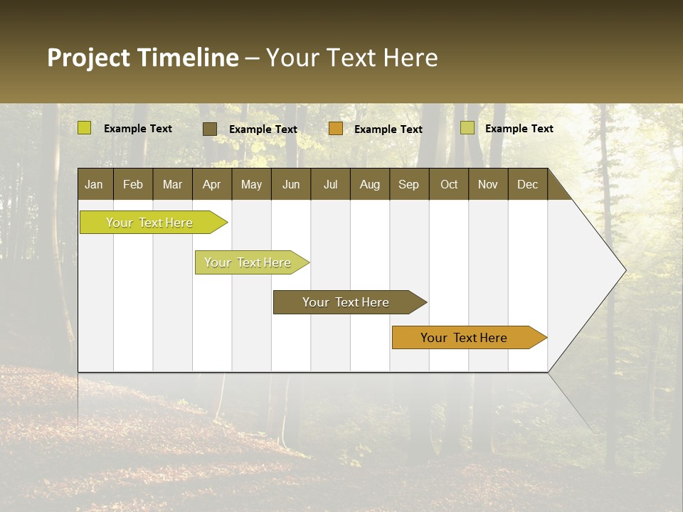 A Forest Filled With Lots Of Trees And Leaves PowerPoint Template