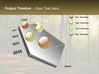 A Forest Filled With Lots Of Trees And Leaves PowerPoint Template
