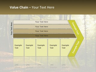 A Forest Filled With Lots Of Trees And Leaves PowerPoint Template