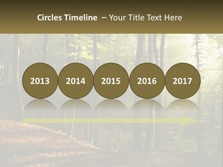 A Forest Filled With Lots Of Trees And Leaves PowerPoint Template