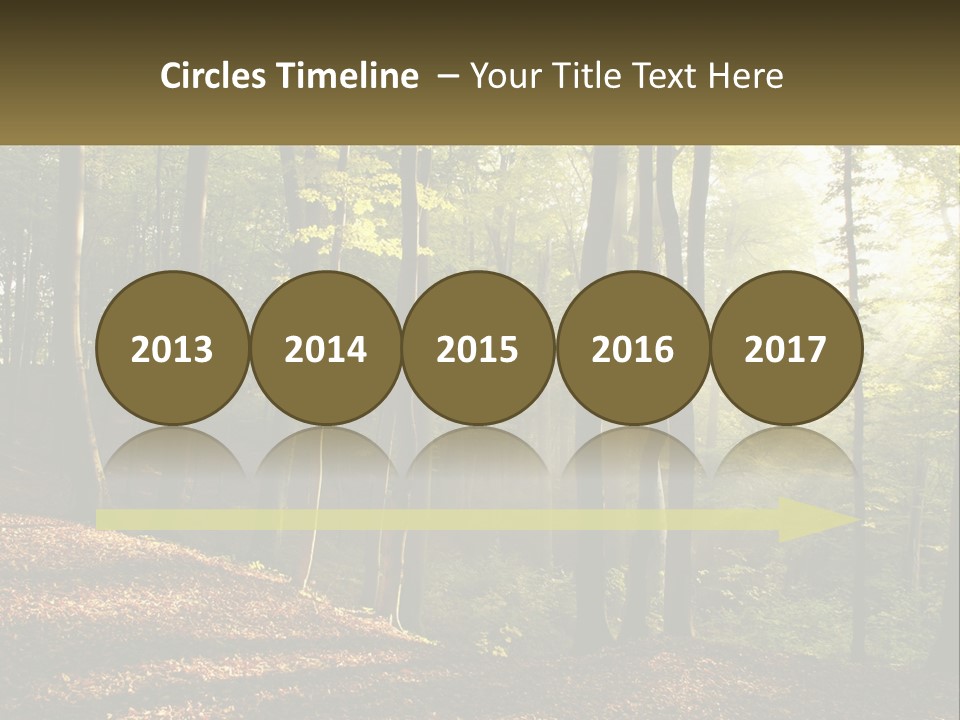 A Forest Filled With Lots Of Trees And Leaves PowerPoint Template