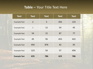 A Forest Filled With Lots Of Trees And Leaves PowerPoint Template