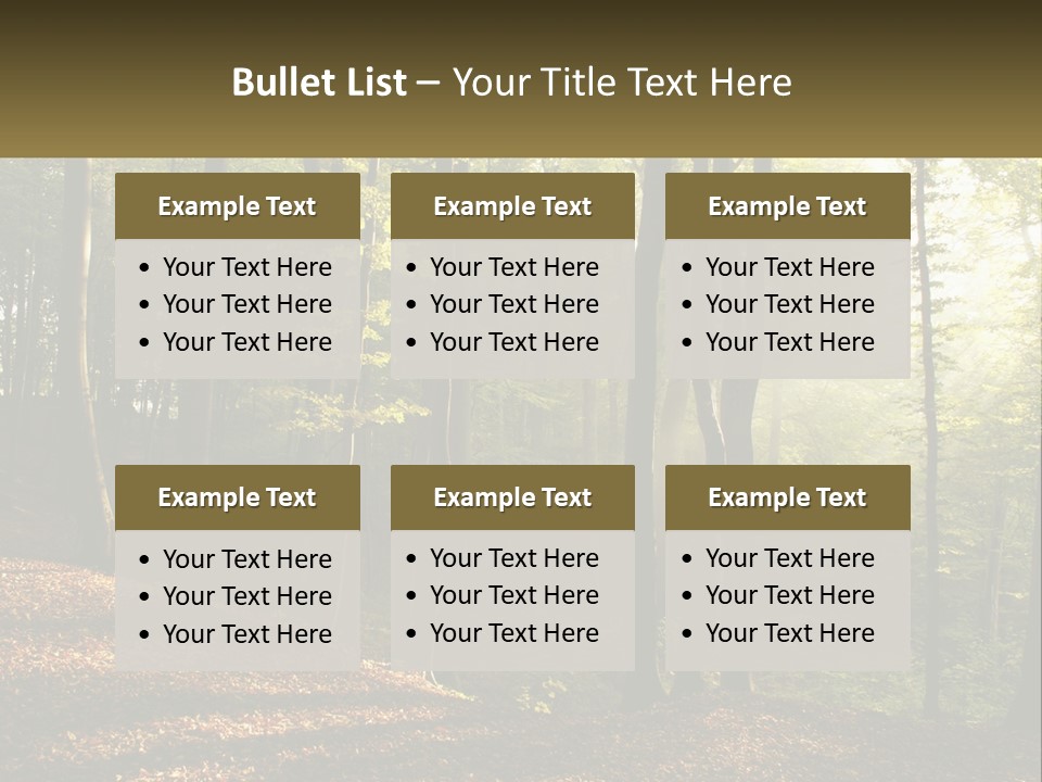 A Forest Filled With Lots Of Trees And Leaves PowerPoint Template