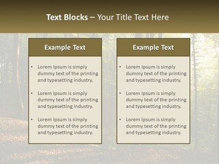 A Forest Filled With Lots Of Trees And Leaves PowerPoint Template