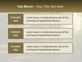 A Forest Filled With Lots Of Trees And Leaves PowerPoint Template