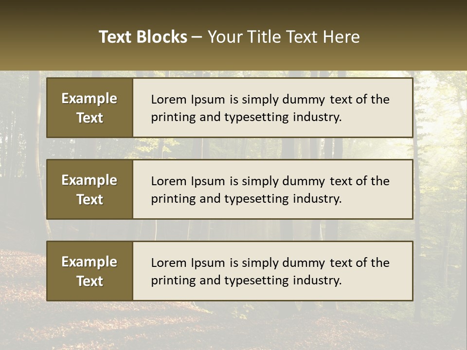 A Forest Filled With Lots Of Trees And Leaves PowerPoint Template