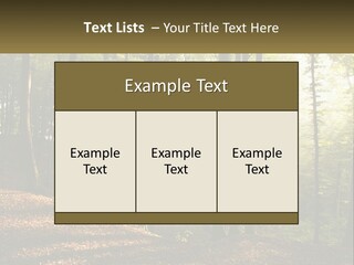A Forest Filled With Lots Of Trees And Leaves PowerPoint Template