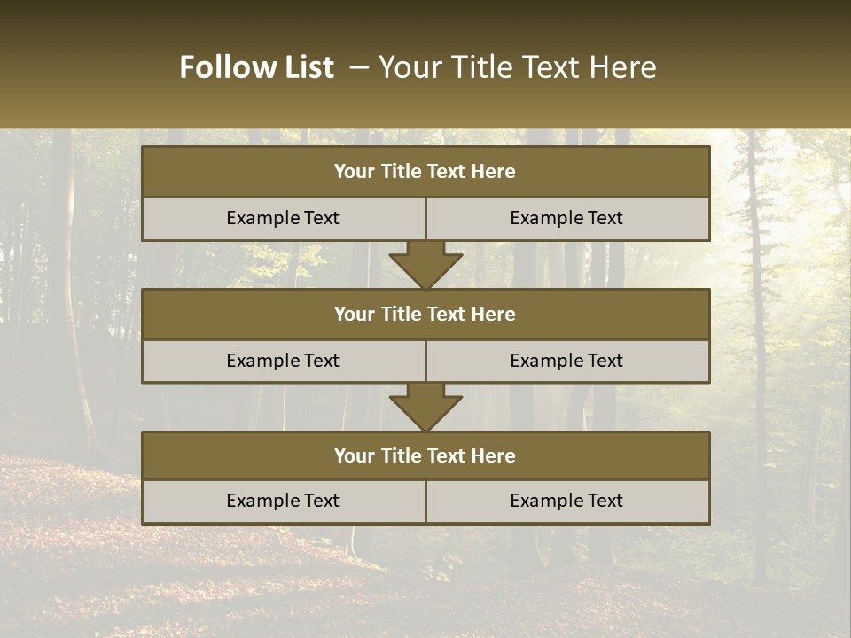 A Forest Filled With Lots Of Trees And Leaves PowerPoint Template