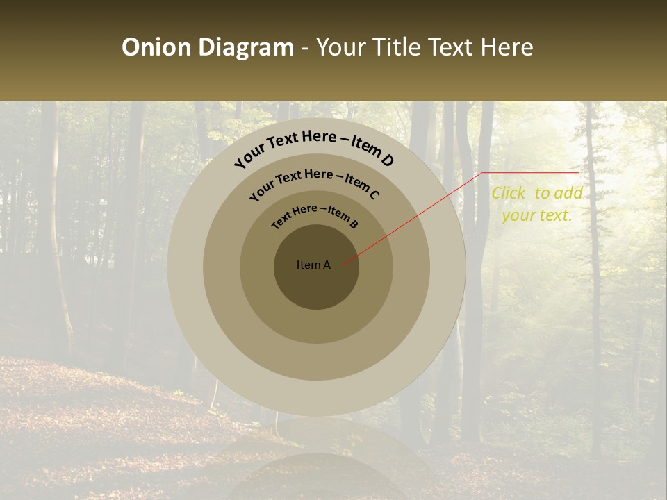 A Forest Filled With Lots Of Trees And Leaves PowerPoint Template