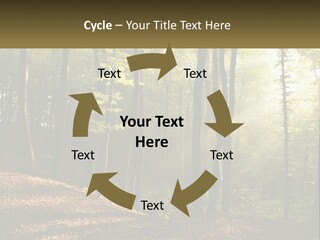 A Forest Filled With Lots Of Trees And Leaves PowerPoint Template