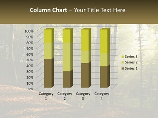 A Forest Filled With Lots Of Trees And Leaves PowerPoint Template