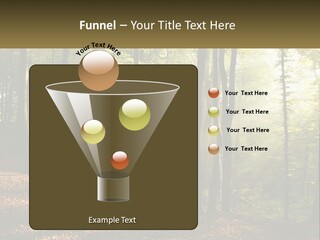 A Forest Filled With Lots Of Trees And Leaves PowerPoint Template