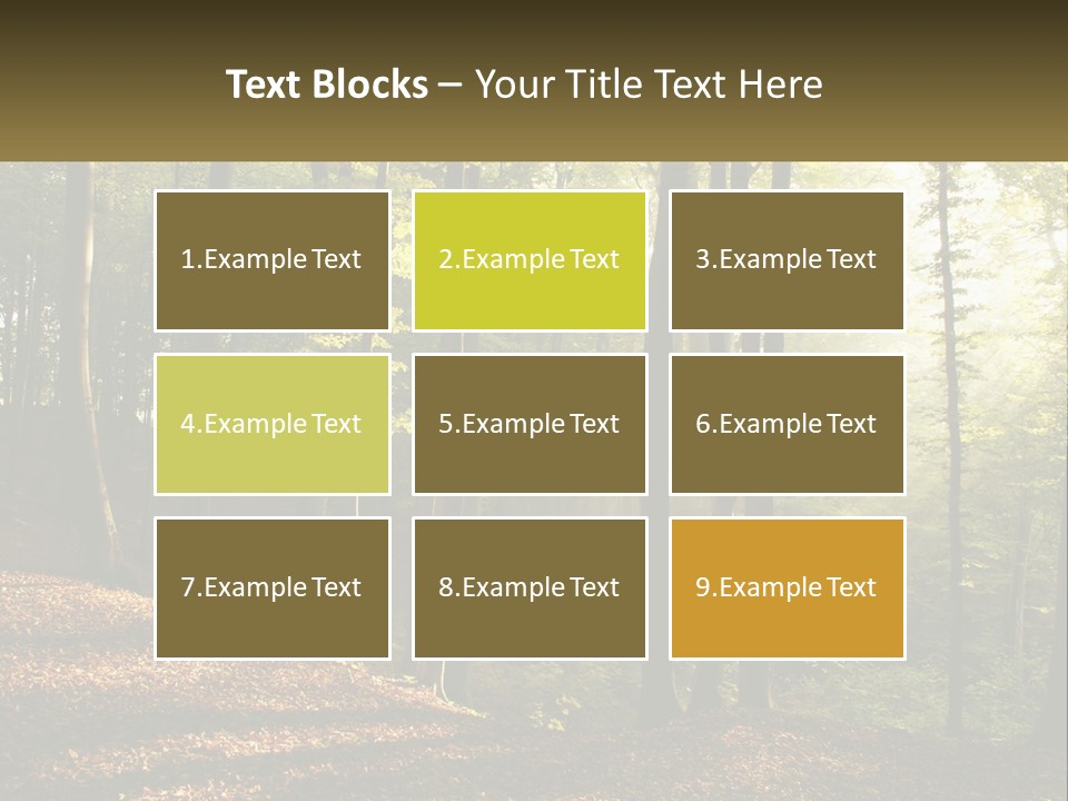 A Forest Filled With Lots Of Trees And Leaves PowerPoint Template