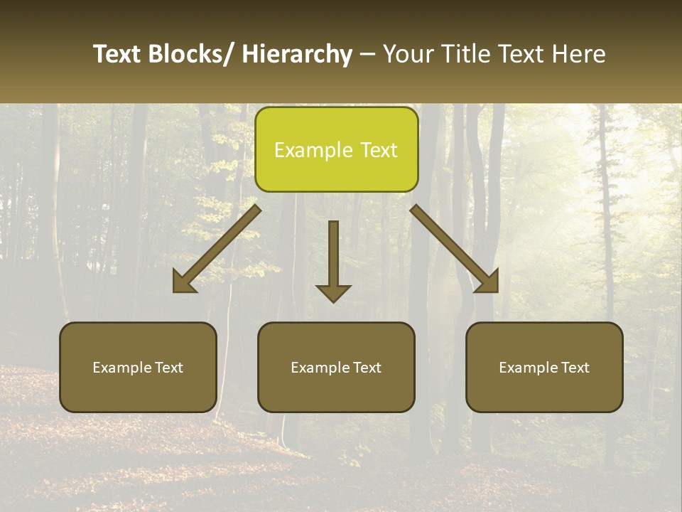 A Forest Filled With Lots Of Trees And Leaves PowerPoint Template