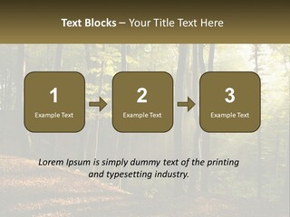 A Forest Filled With Lots Of Trees And Leaves PowerPoint Template