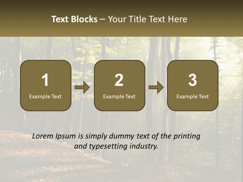 A Forest Filled With Lots Of Trees And Leaves PowerPoint Template