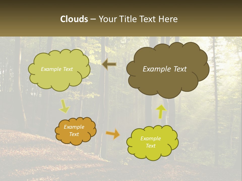 A Forest Filled With Lots Of Trees And Leaves PowerPoint Template