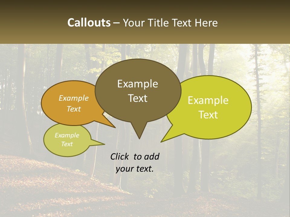 A Forest Filled With Lots Of Trees And Leaves PowerPoint Template