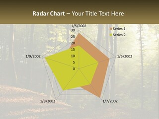 A Forest Filled With Lots Of Trees And Leaves PowerPoint Template