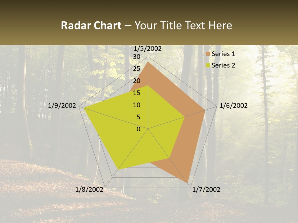 A Forest Filled With Lots Of Trees And Leaves PowerPoint Template