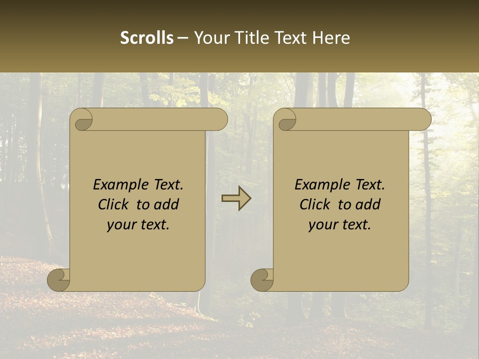 A Forest Filled With Lots Of Trees And Leaves PowerPoint Template