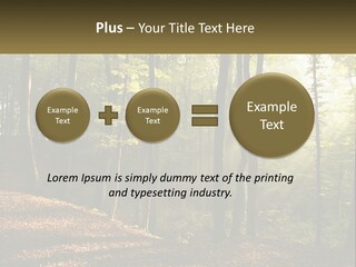 A Forest Filled With Lots Of Trees And Leaves PowerPoint Template