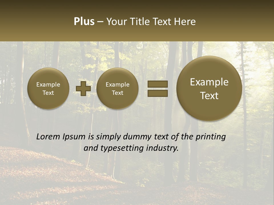 A Forest Filled With Lots Of Trees And Leaves PowerPoint Template