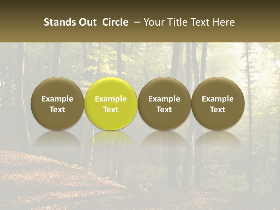 A Forest Filled With Lots Of Trees And Leaves PowerPoint Template