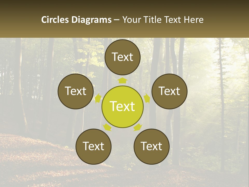 A Forest Filled With Lots Of Trees And Leaves PowerPoint Template