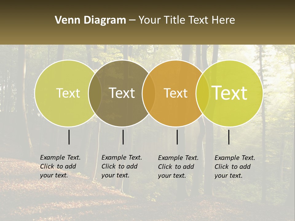 A Forest Filled With Lots Of Trees And Leaves PowerPoint Template