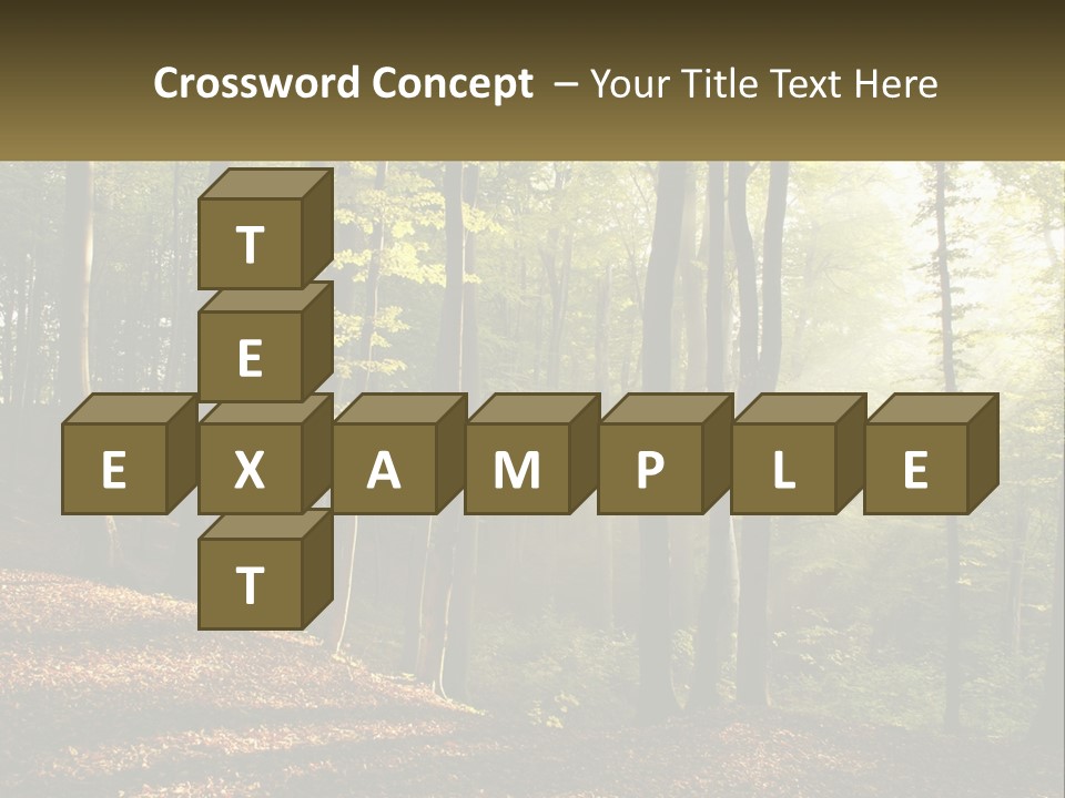 A Forest Filled With Lots Of Trees And Leaves PowerPoint Template