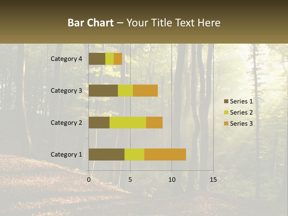A Forest Filled With Lots Of Trees And Leaves PowerPoint Template