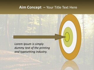 A Forest Filled With Lots Of Trees And Leaves PowerPoint Template