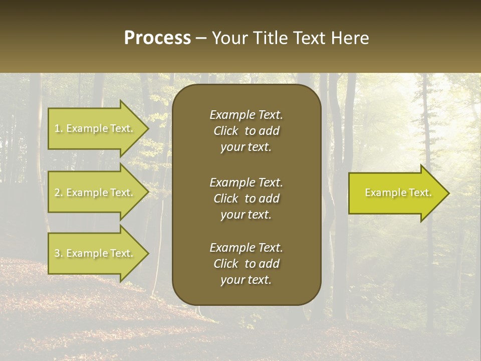 A Forest Filled With Lots Of Trees And Leaves PowerPoint Template