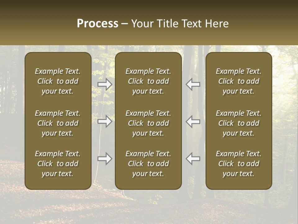 A Forest Filled With Lots Of Trees And Leaves PowerPoint Template