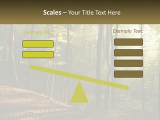 A Forest Filled With Lots Of Trees And Leaves PowerPoint Template