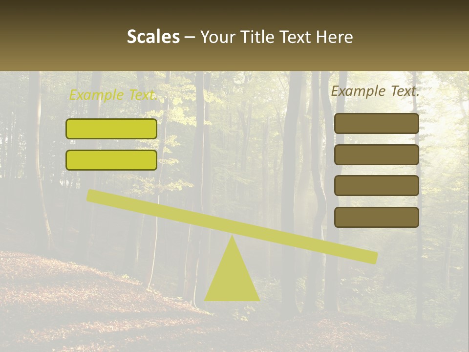 A Forest Filled With Lots Of Trees And Leaves PowerPoint Template