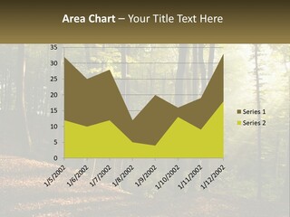 A Forest Filled With Lots Of Trees And Leaves PowerPoint Template
