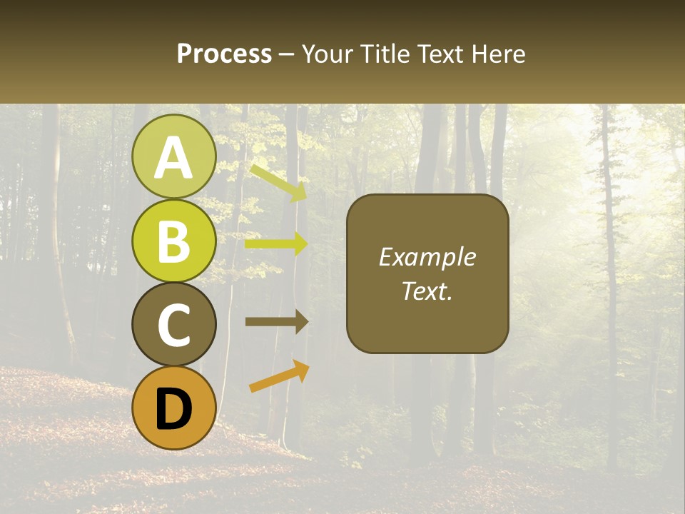 A Forest Filled With Lots Of Trees And Leaves PowerPoint Template