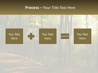 A Forest Filled With Lots Of Trees And Leaves PowerPoint Template