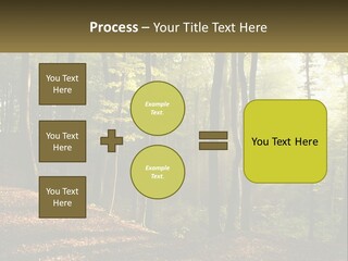 A Forest Filled With Lots Of Trees And Leaves PowerPoint Template