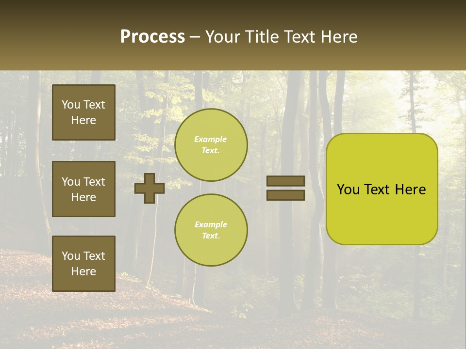 A Forest Filled With Lots Of Trees And Leaves PowerPoint Template