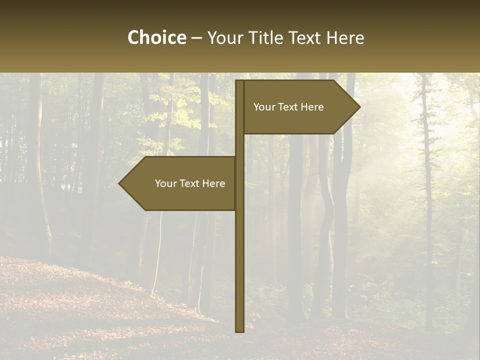A Forest Filled With Lots Of Trees And Leaves PowerPoint Template
