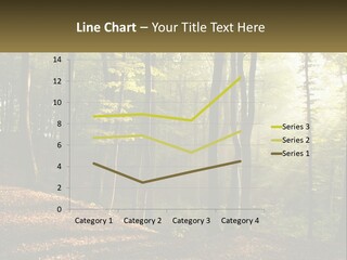 A Forest Filled With Lots Of Trees And Leaves PowerPoint Template
