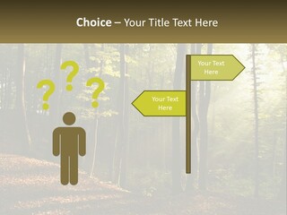 A Forest Filled With Lots Of Trees And Leaves PowerPoint Template