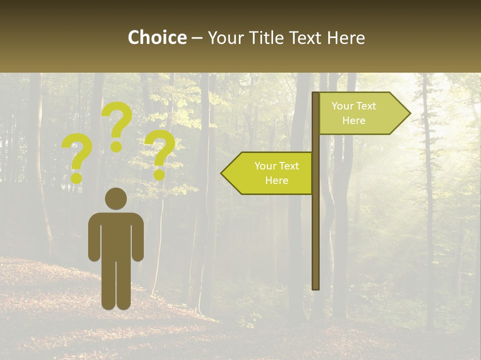 A Forest Filled With Lots Of Trees And Leaves PowerPoint Template