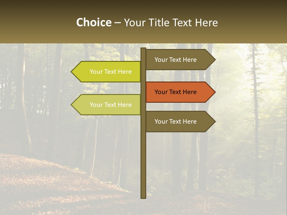 A Forest Filled With Lots Of Trees And Leaves PowerPoint Template